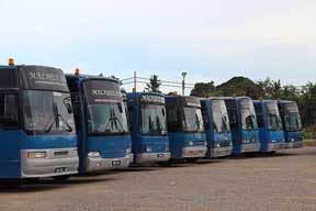 15a-bus-fleet